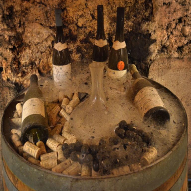 Chateau Rieutort Saint-Pargoire Buitenkant foto